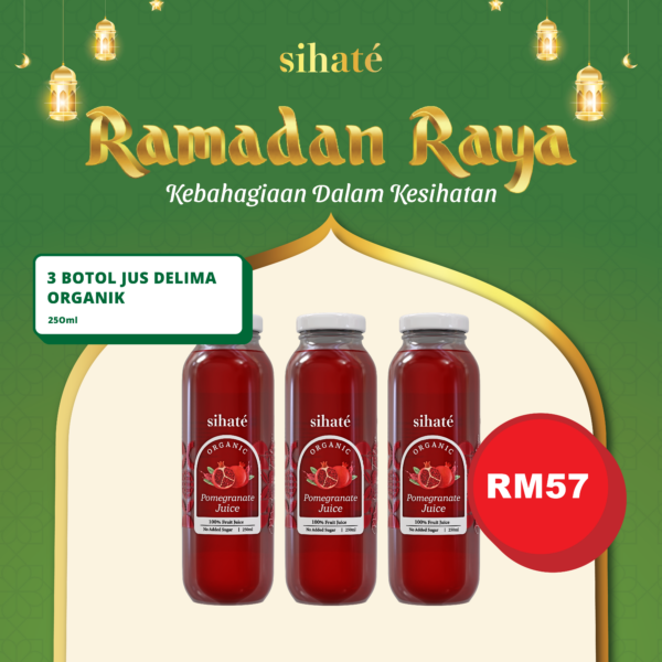SET BIASA